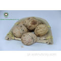 Orzechy w Shell 185#, 3,2 cm+z Yunnan
